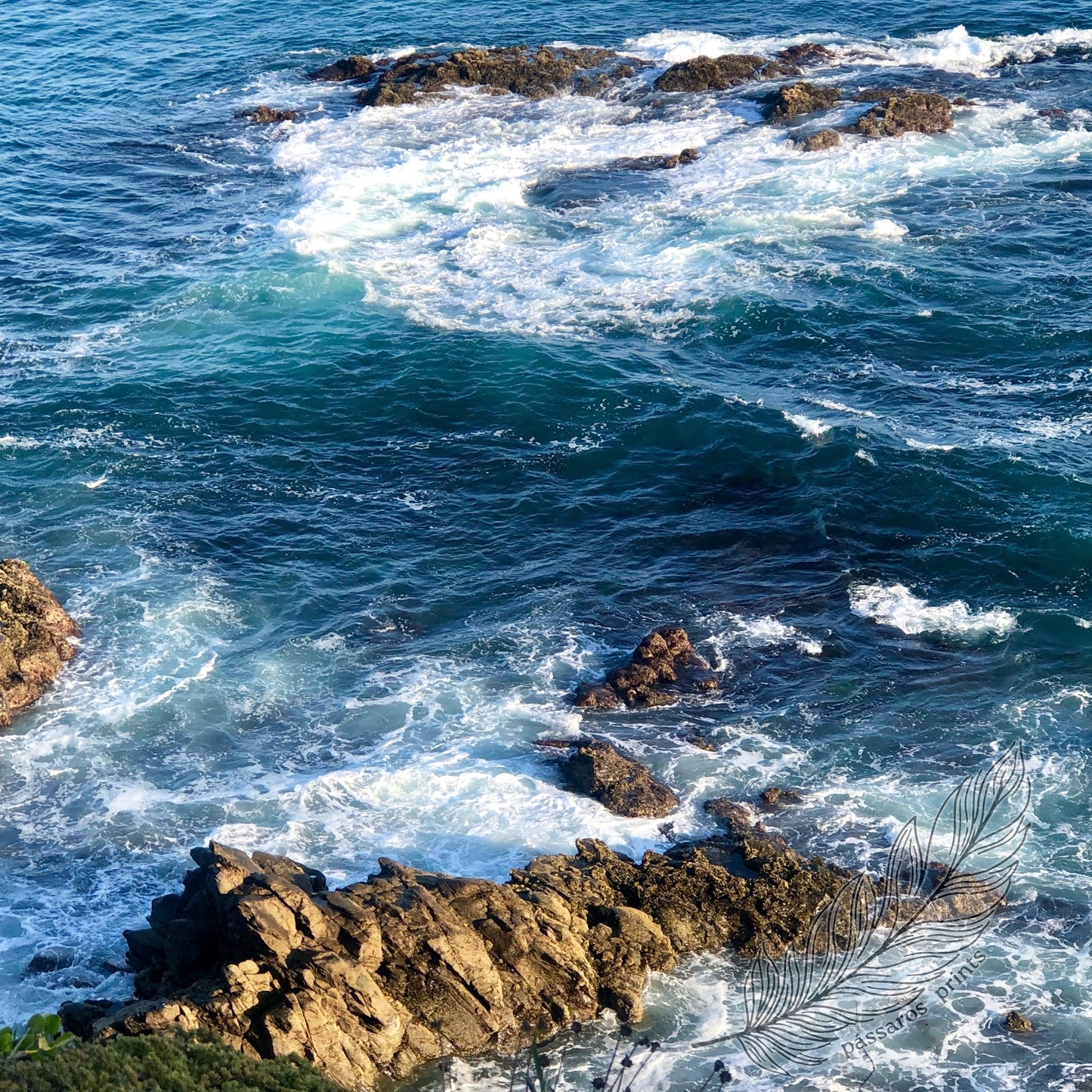 laguna beach, ca (2019)