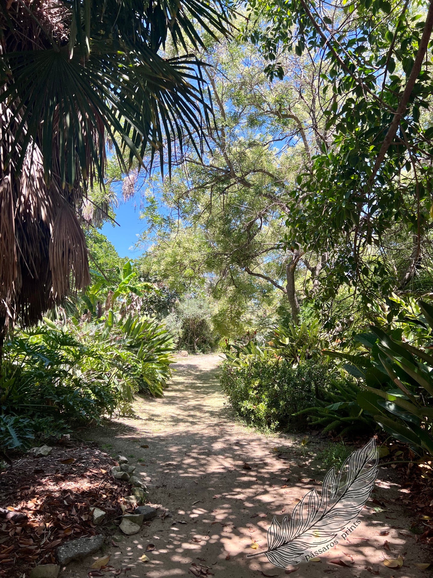 palos verdes, ca (2022)